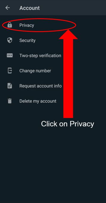 privacy setting for WhatsApp
