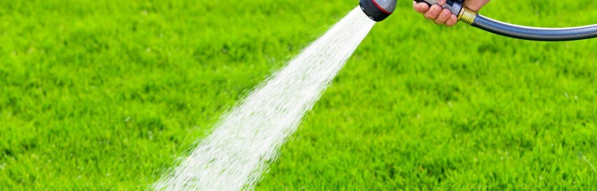 Overseeding a Lawn: The Techniques You Need to Know