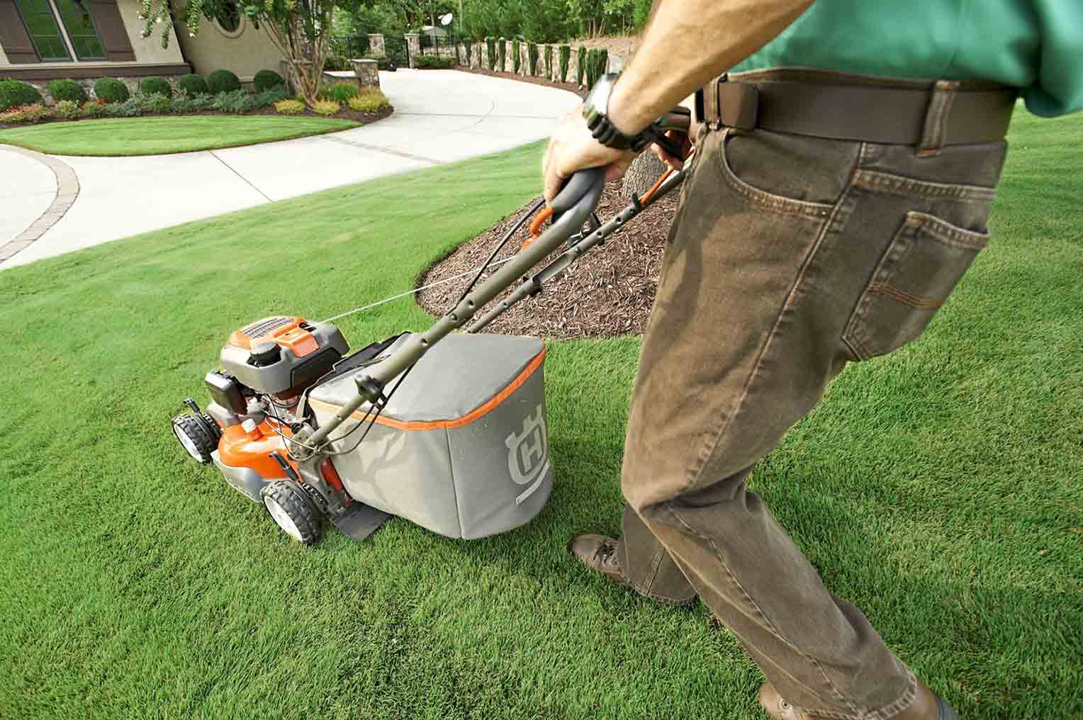 Landscaping and Lawn Care